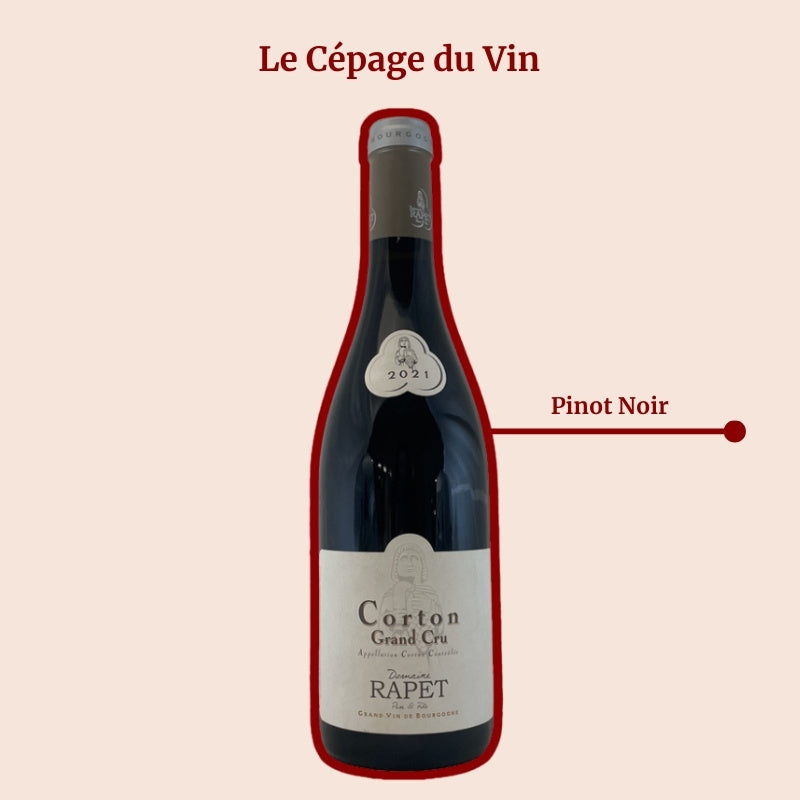 Domaine Rapet Corton Grand Cru Cépage