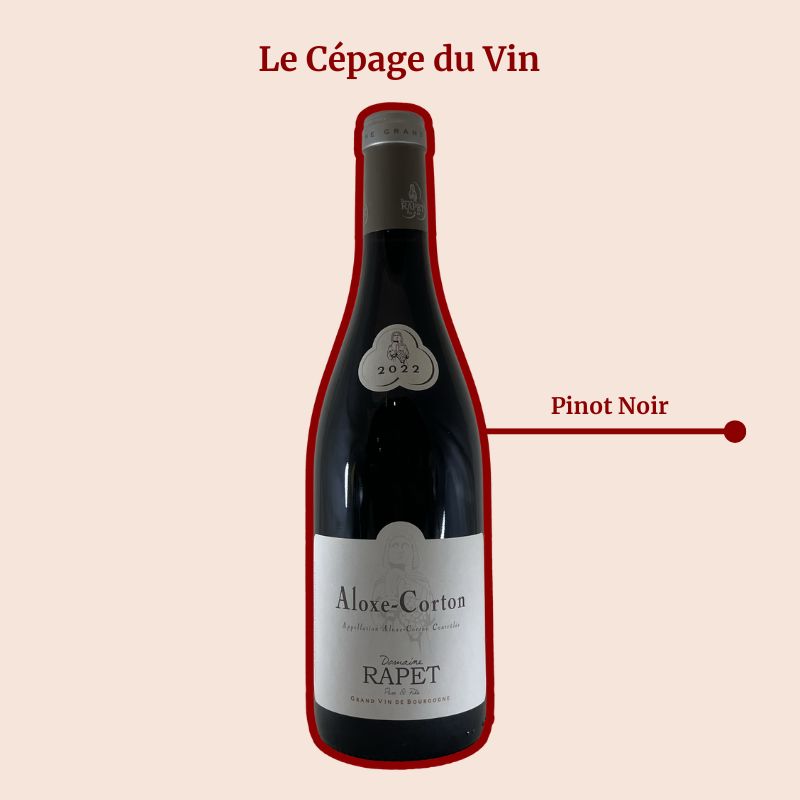 Domaine Rapet Père et Fils Aloxe-Corton Rouge Cépage