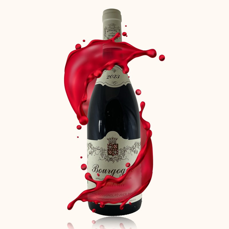Domaine Rossignol-Fevrier Bourgogne Pinot Noir bouteille