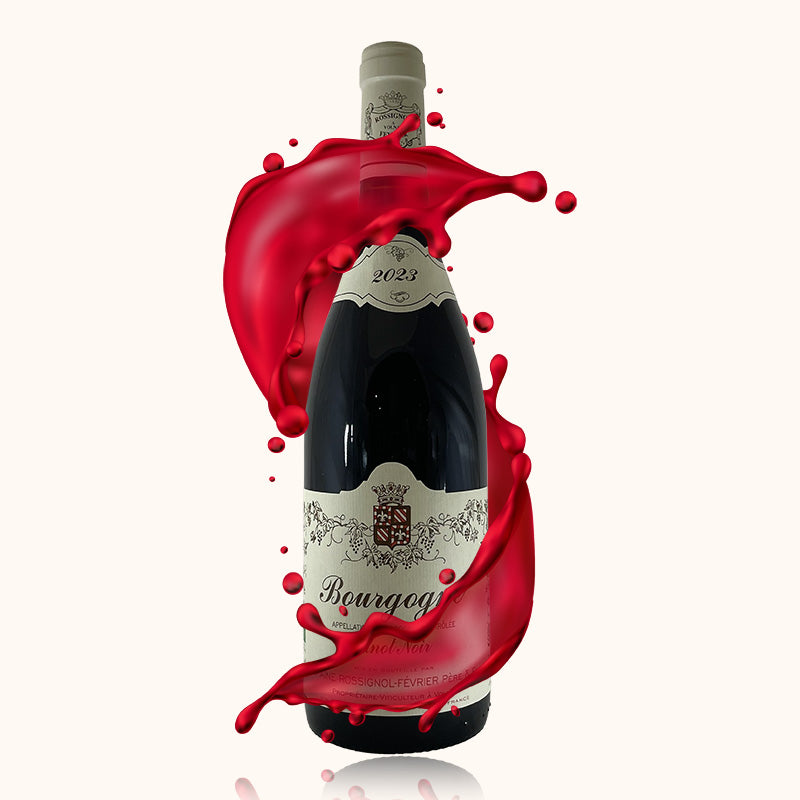 Domaine Rossignol-Fevrier Bourgogne Pinot Noir bouteille