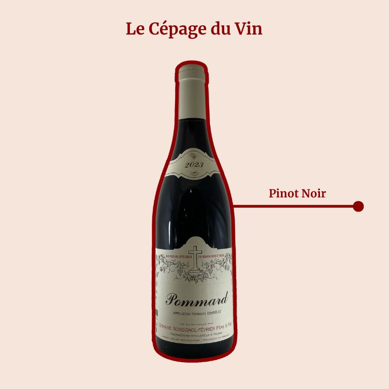 Domaine Rossignol Février Pommard Cépage
