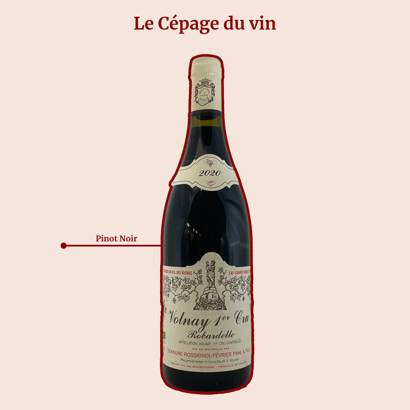 Domaine Rossignol-Février Robardelle 2020 Cépage