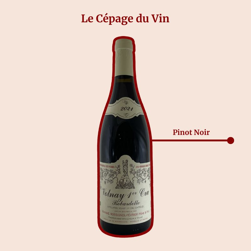 Domaine Rossignol-Février Robardelle Cépage