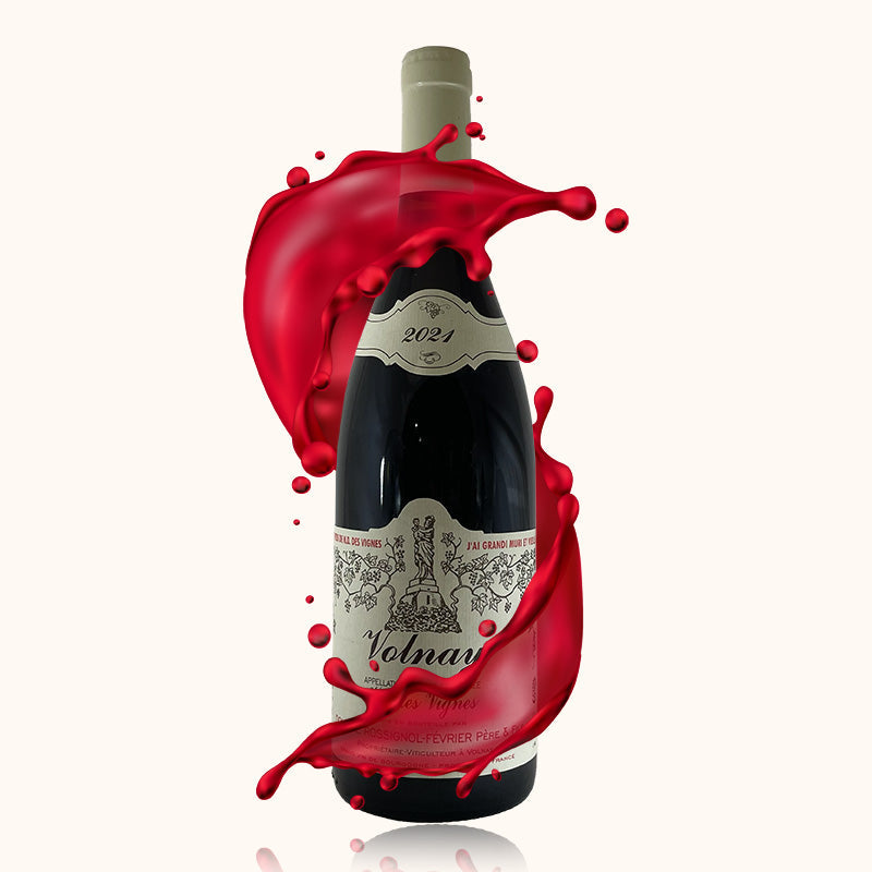 Domaine Rossignol-Février Vieilles Vignes bouteille
