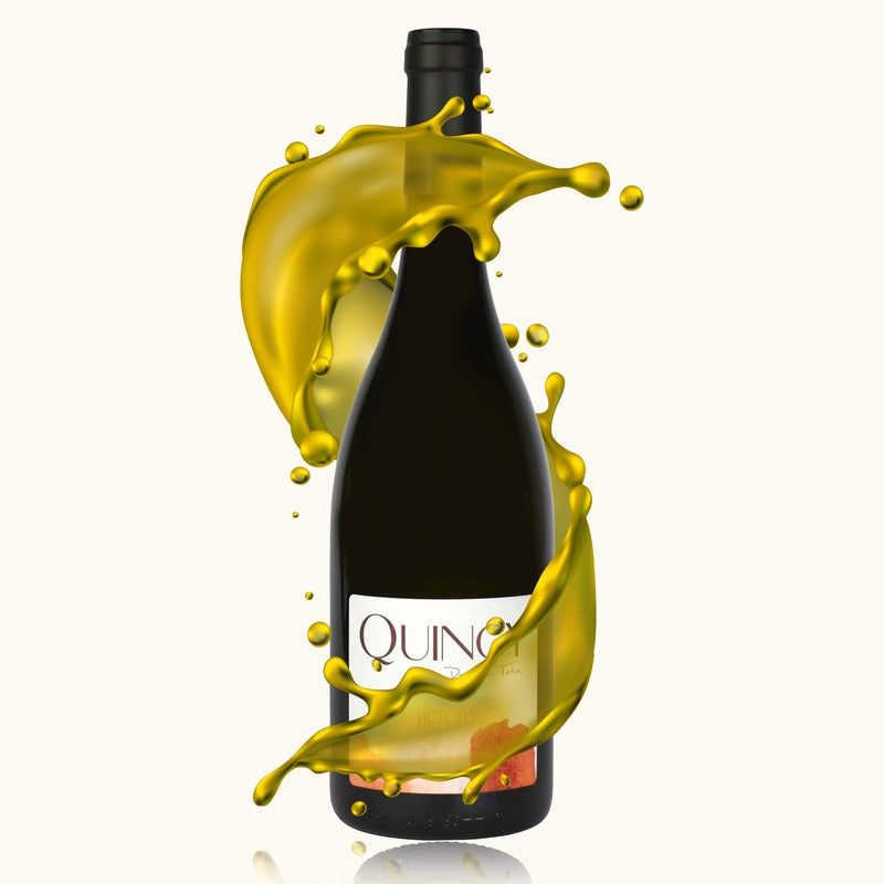 Domaine Tatin Victoire Blanc bouteille