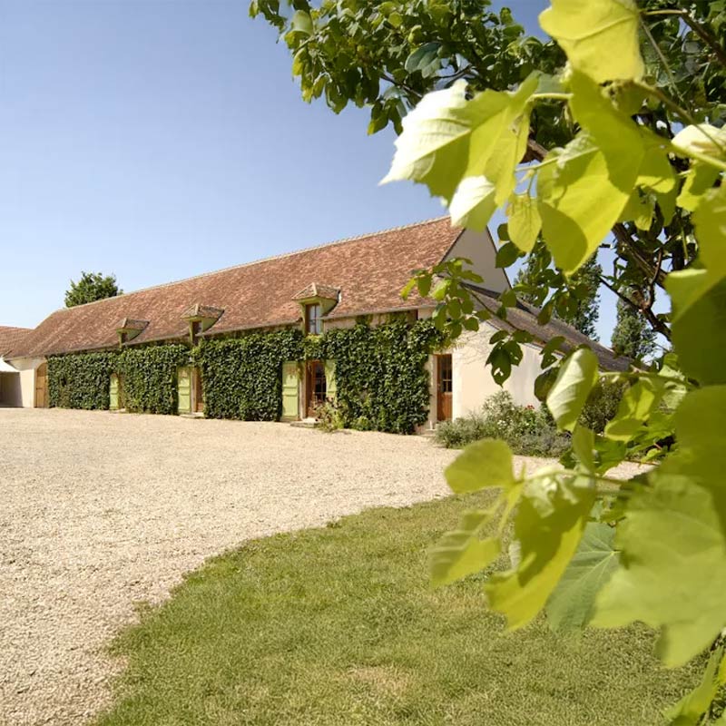 Domaine Tatin