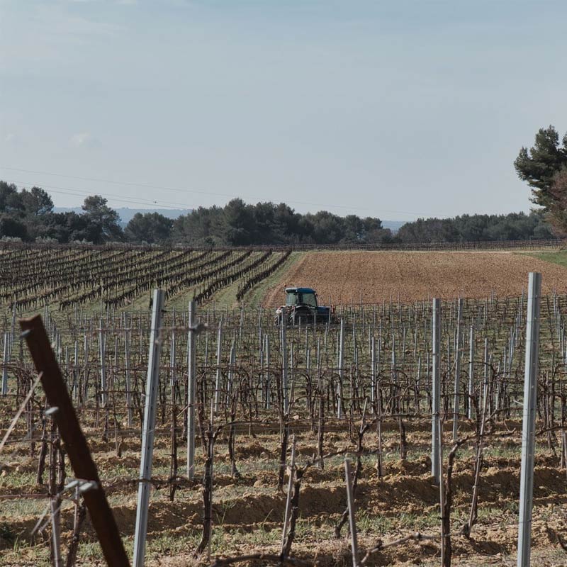 Domaine Val de Caire