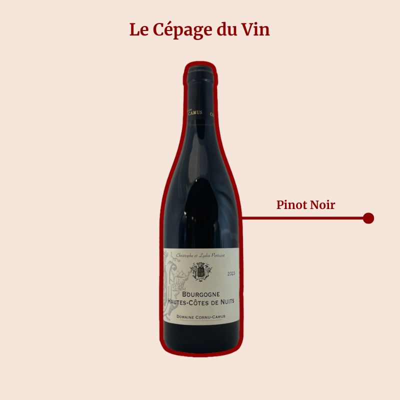 Domaine Valéry Renaudat Le Ptit Renaudat Rouge Cépage