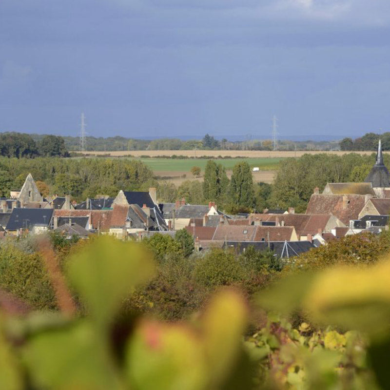 Domaine Valéry Renaudat