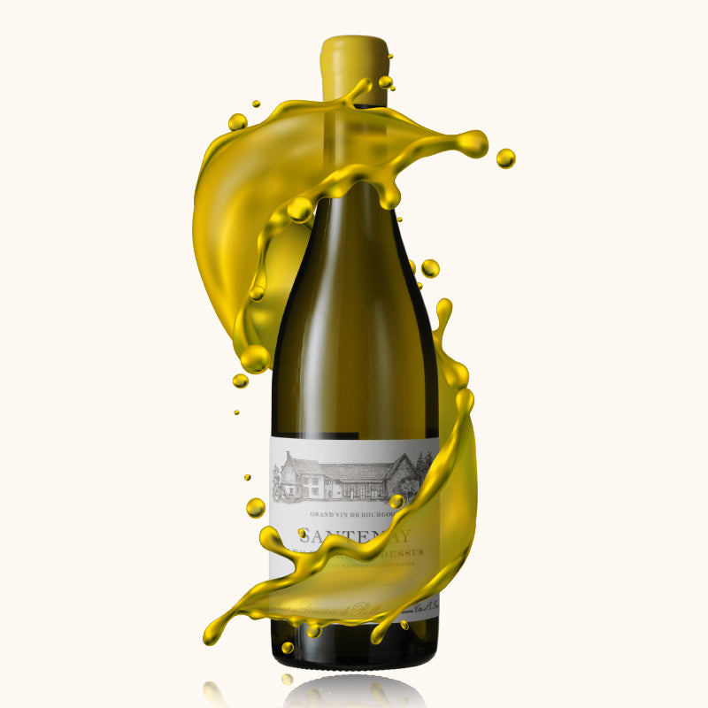 Domaine de Bellene Santenay Les Charmes Dessus bouteille