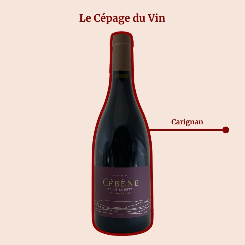 Domaine de Cébène Belle Lurette Cépage