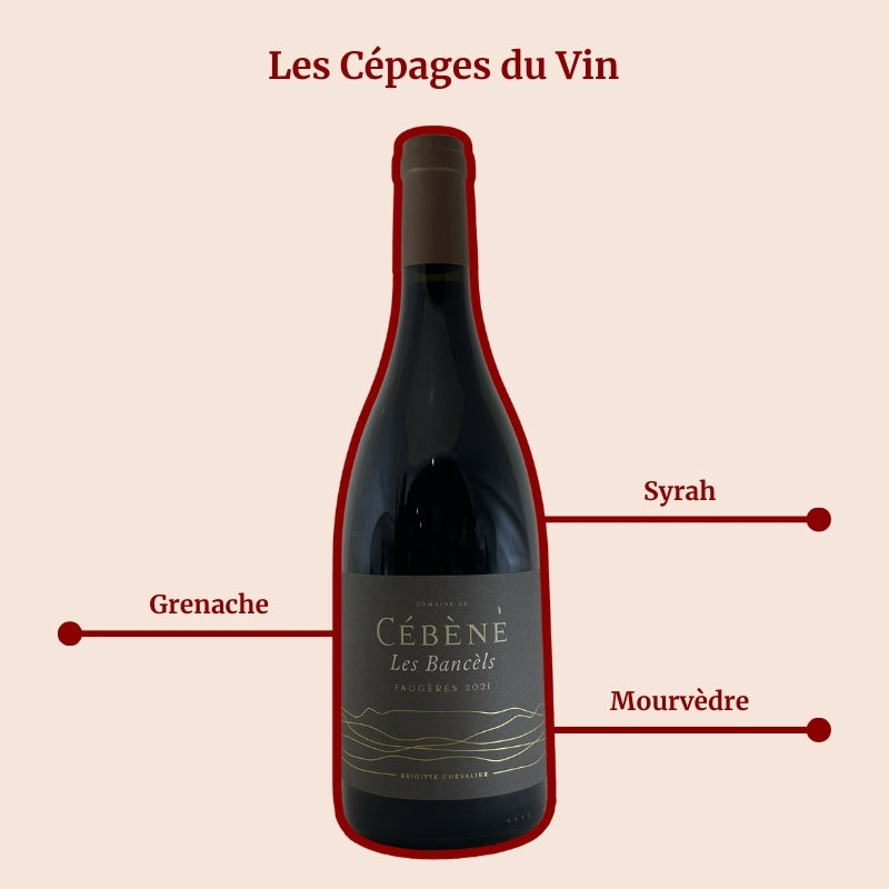 Domaine de Cébène Les Bancèls Faugères Cépages