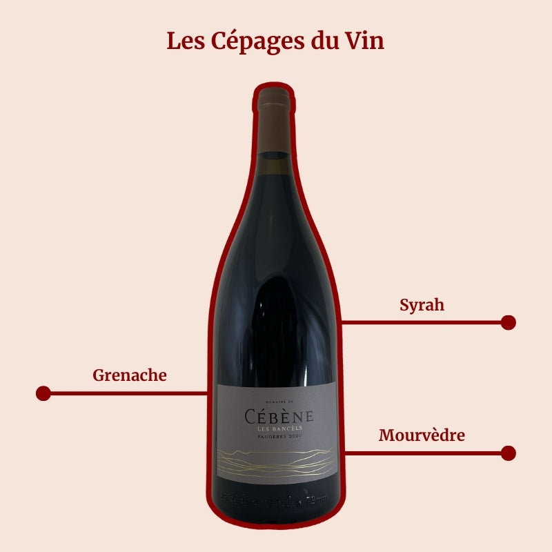 Domaine de Cébène Les Bancèls Faugères Magnum Cépages