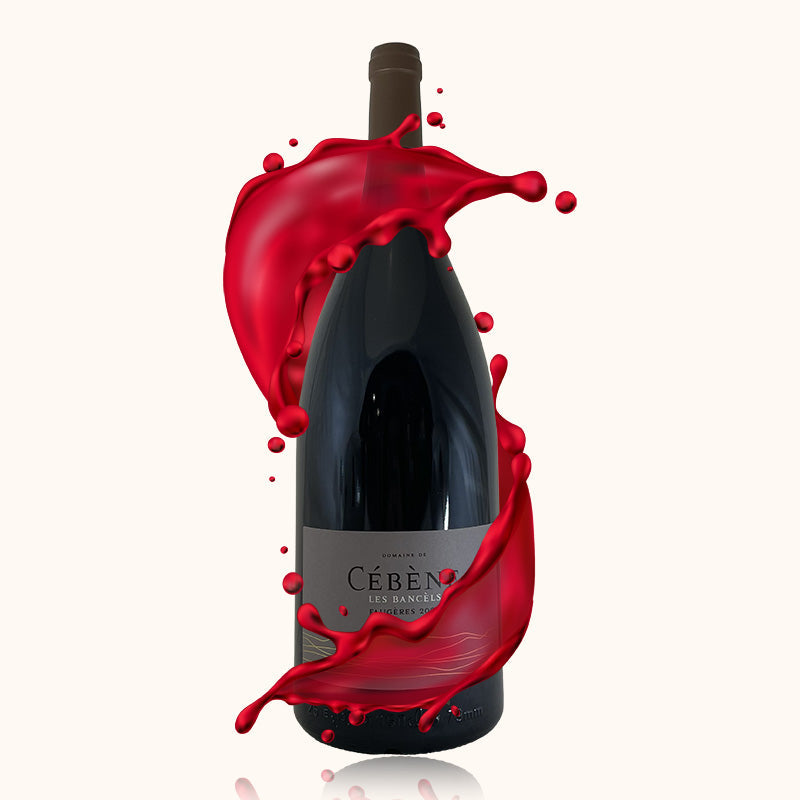 Domaine de Cébène Les Bancels Faugères Magnum bouteille