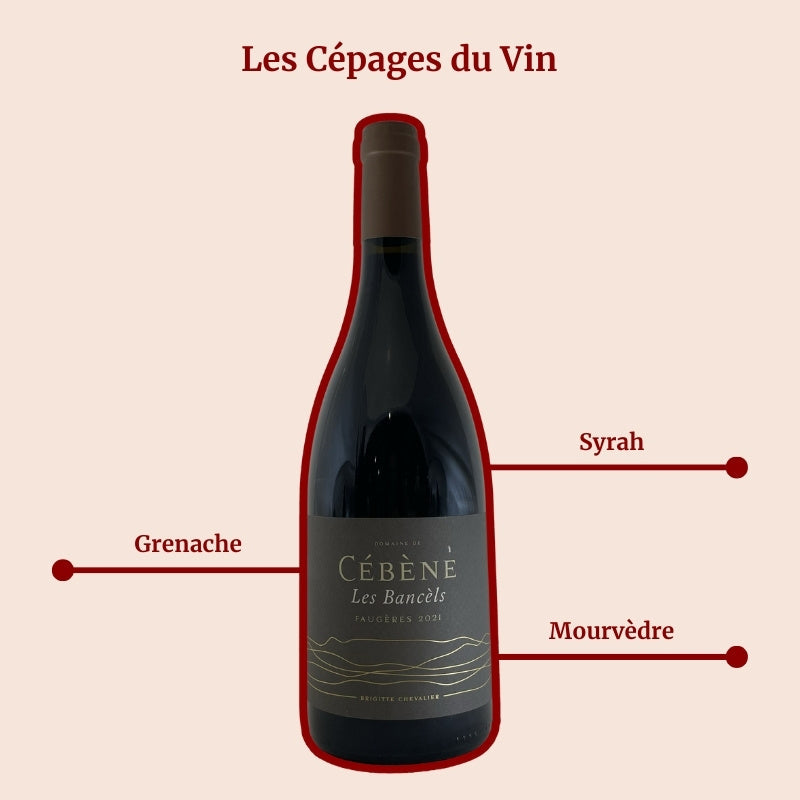 Domaine de Cébène Les Bancèls Faugères Cépages