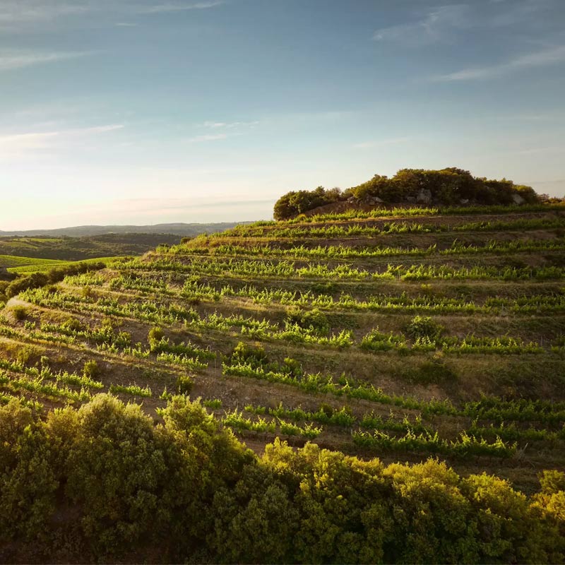 Domaine de Cébène