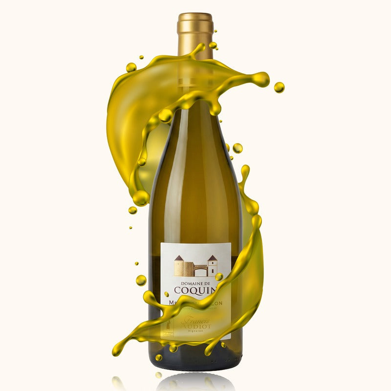 Domaine de Coquin Menetou-Salon bouteille