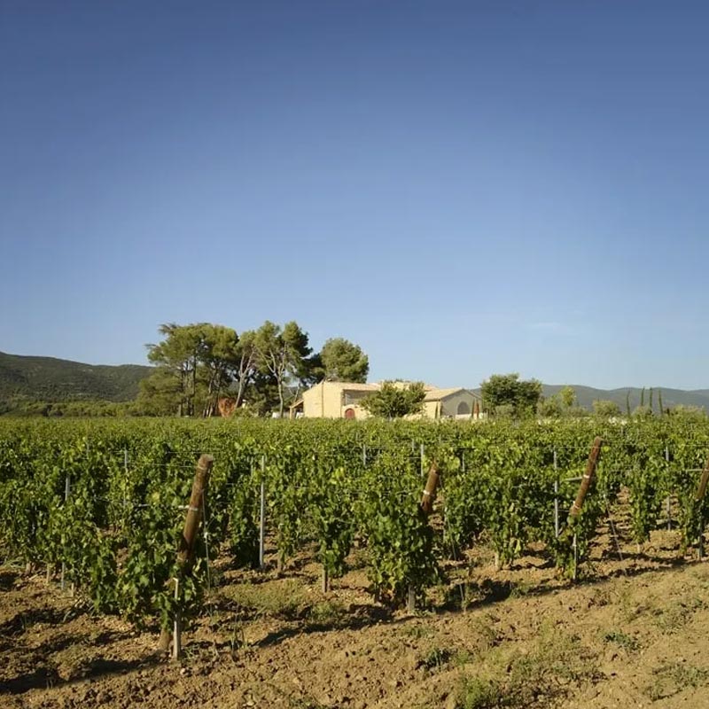Domaine de Maslauris