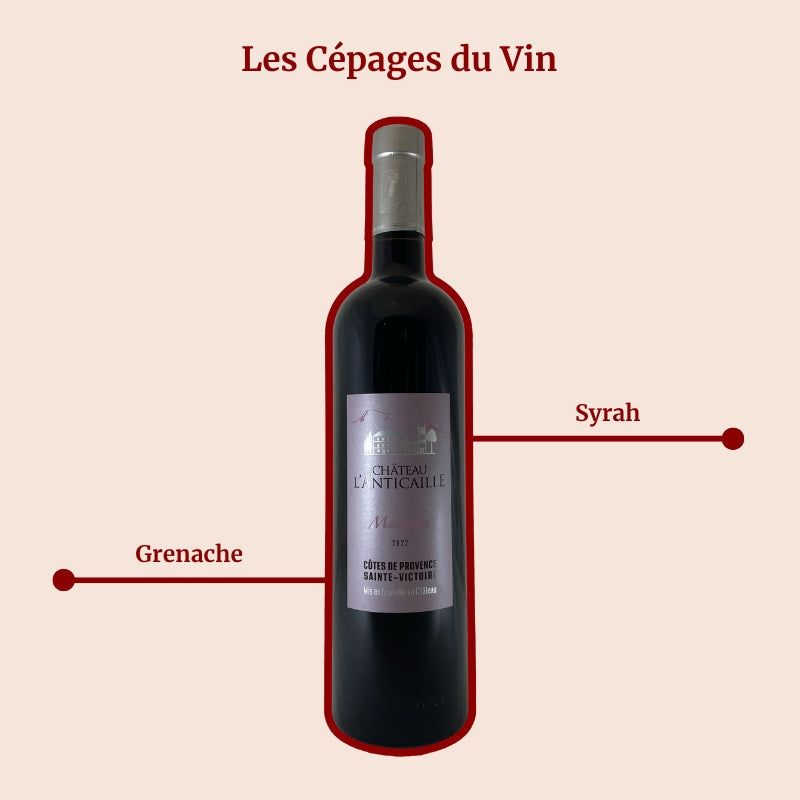 Domaine de l'Anticaille Cuvée Mazurka Cépages