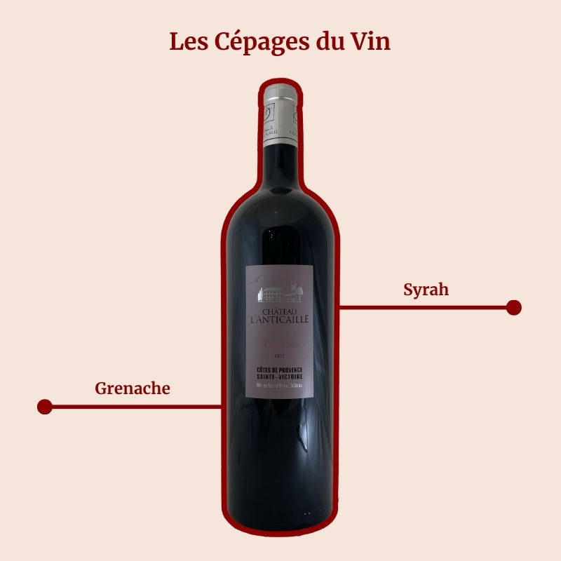 Domaine de l'Anticaille Mazurka Magnum Rouge Cépages