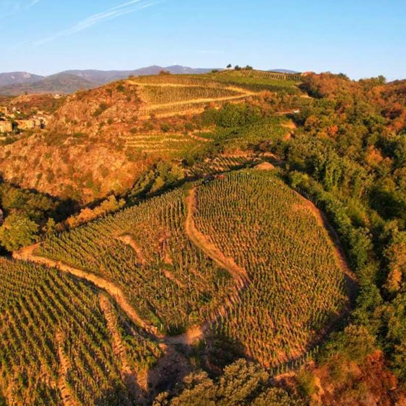 Domaine Favière