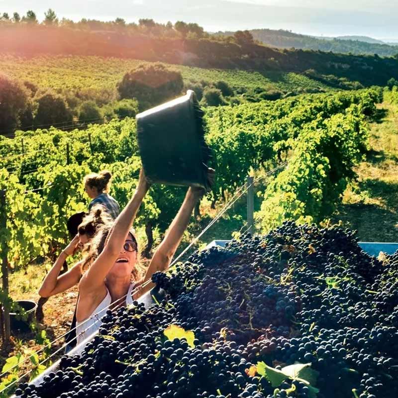 Domaine de la Grange des Pères