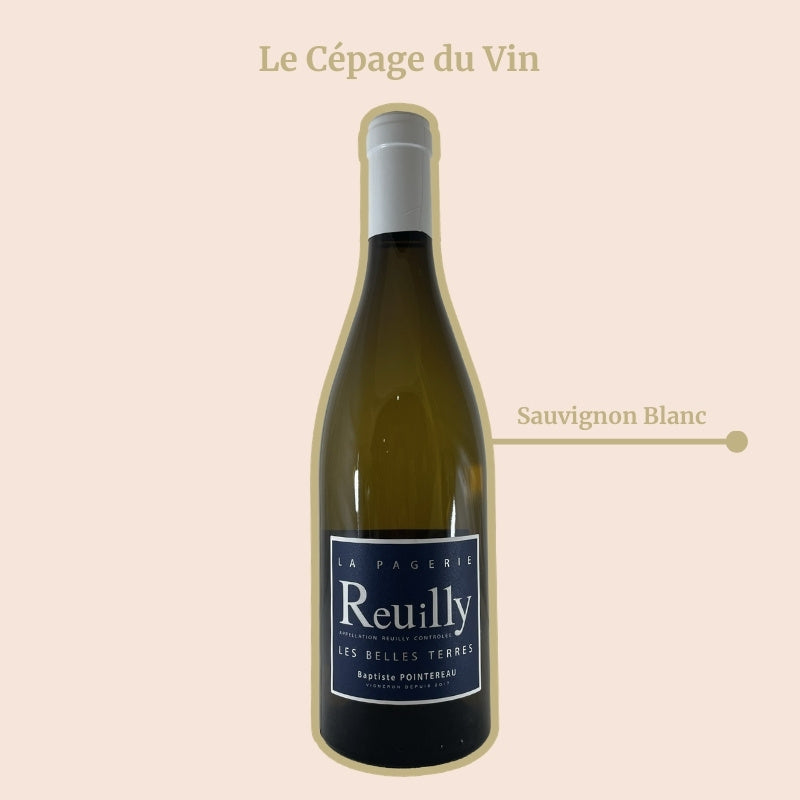 Domaine de la Pagerie Les Belles Terres Blanc Cépage