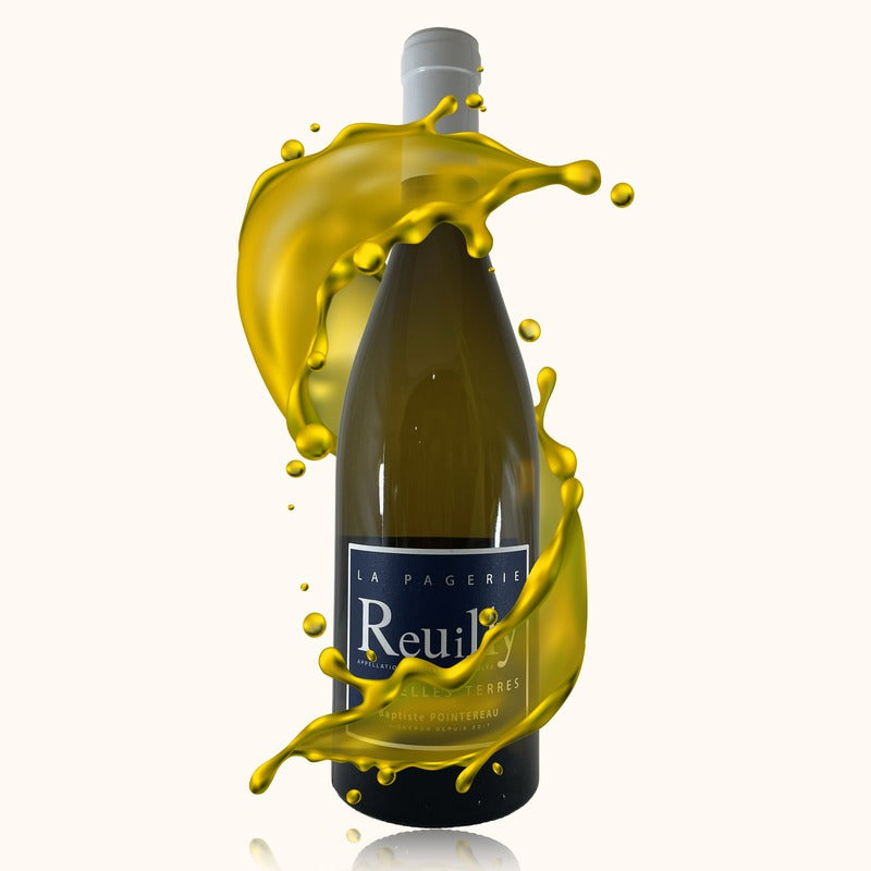 Domaine de la Pagerie Les Belles Terres Blanc bouteille