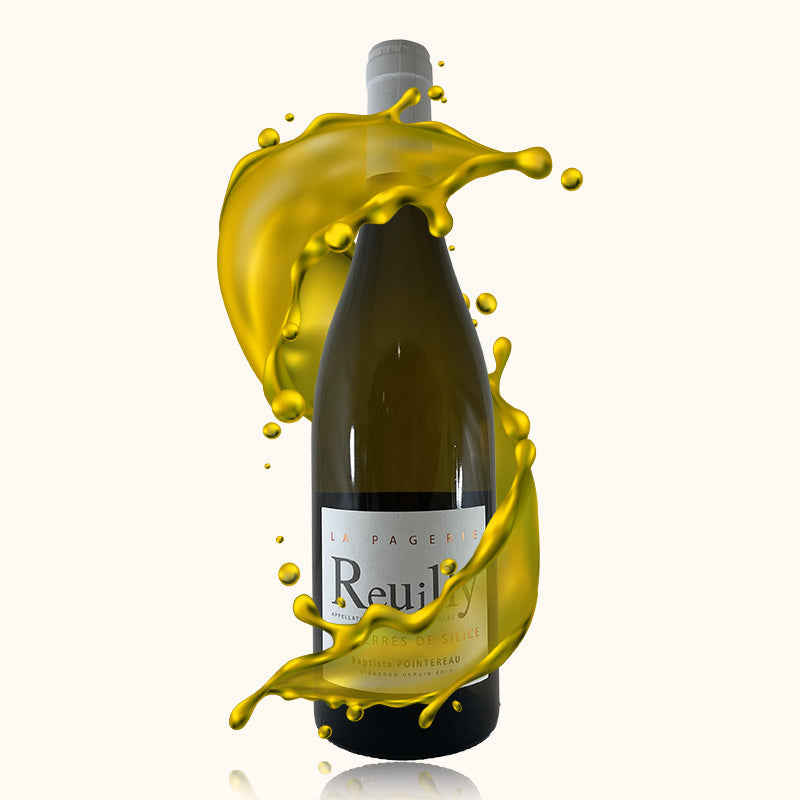 Domaine de la Pagerie Terre de Silice blanc bouteille