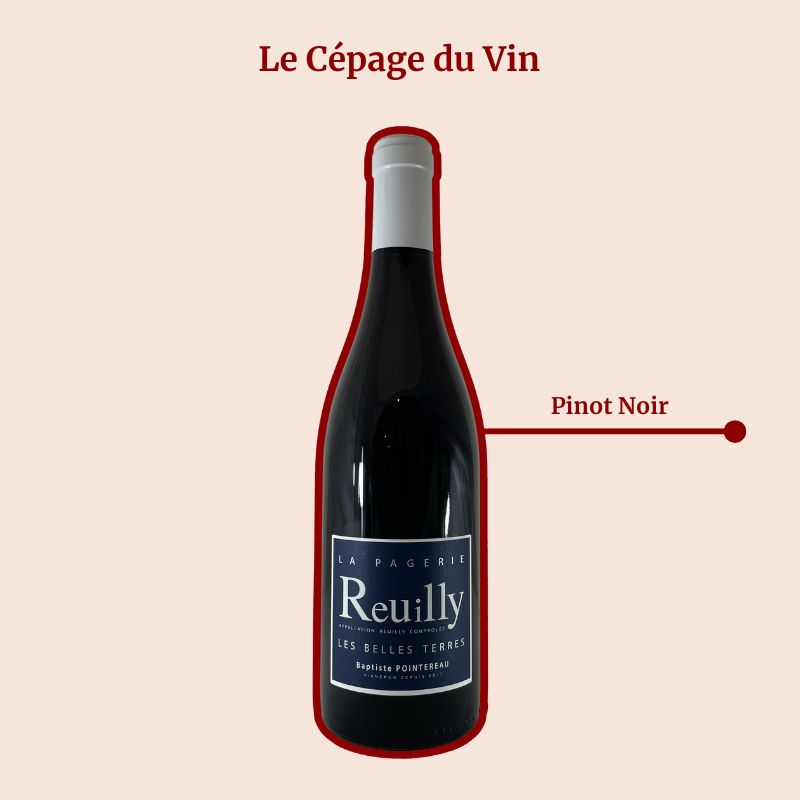 Domaine de la Pagerie les Belles Terres Rouge Cepage