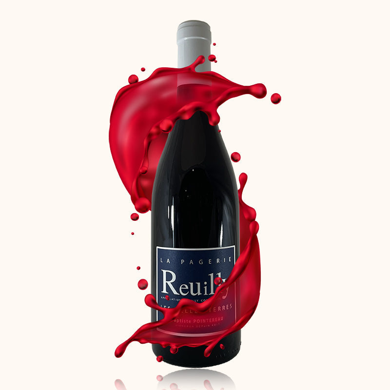 Domaine de la Pagerie les Belles Terres rouge bouteille