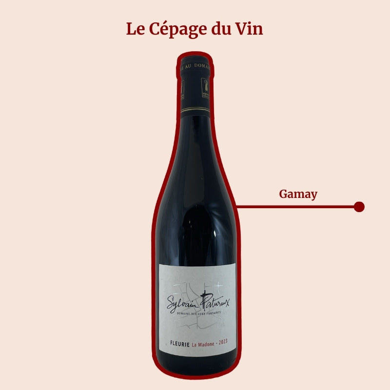 Domaine des Deux Fontaines Sylvain Paturaux La Madone Cépage