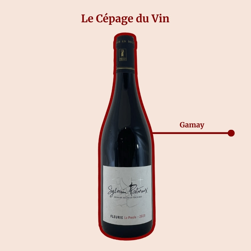 Domaine des Deux Fontaines Sylvain Paturaux La Presle Cépage