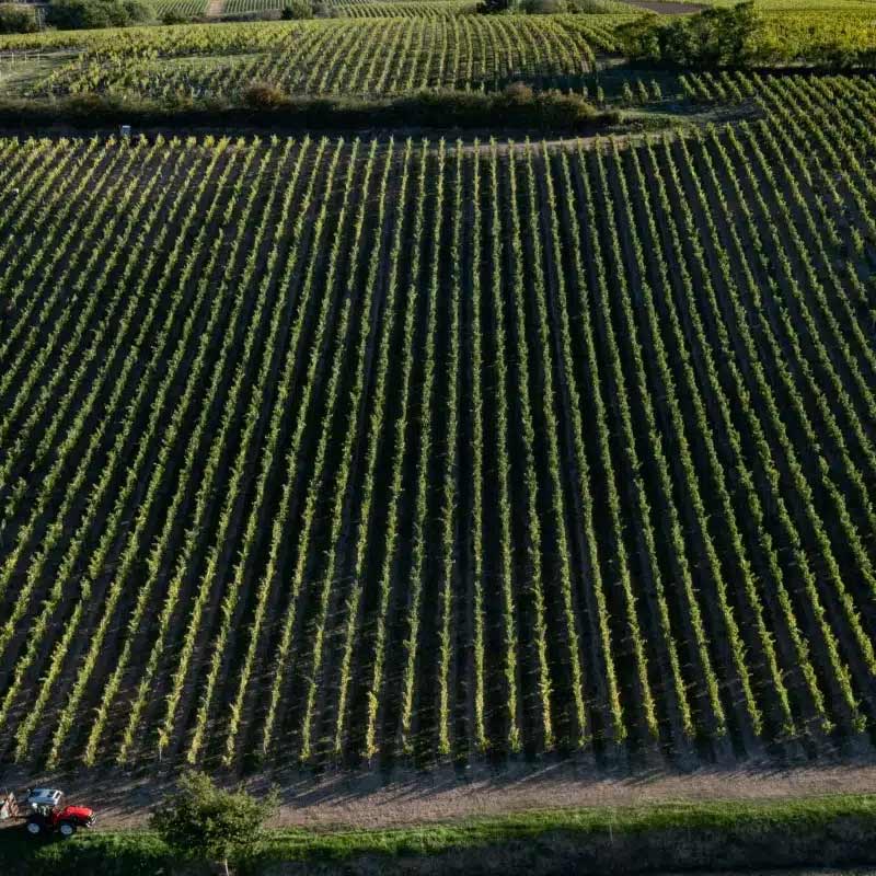 Domaine des Petits Quarts