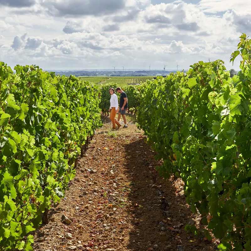 Domaine des Prés Lasses