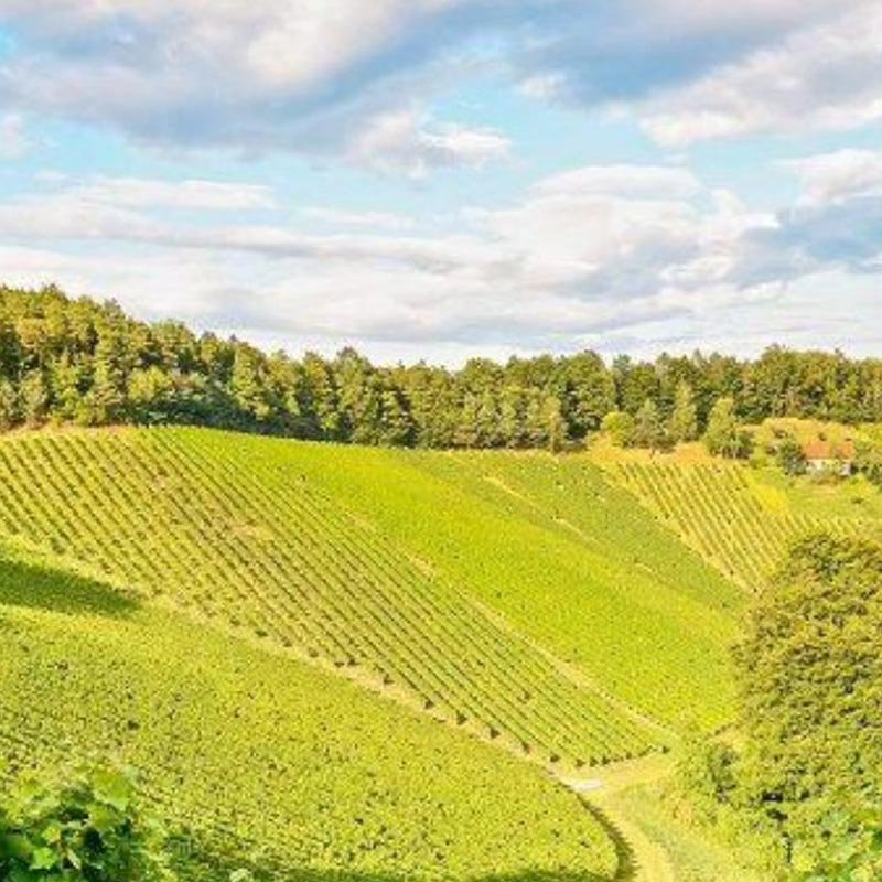 Domaine du Couroulu