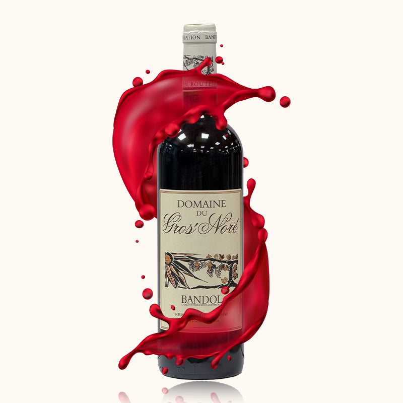 Domaine du Gros Noré Rouge 2013 bouteille