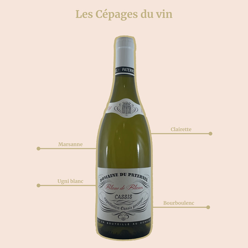 Domaine du Paternel Blanc de Blanc Cépages
