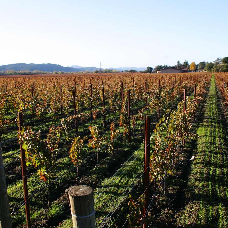 Domaine du Tremblay