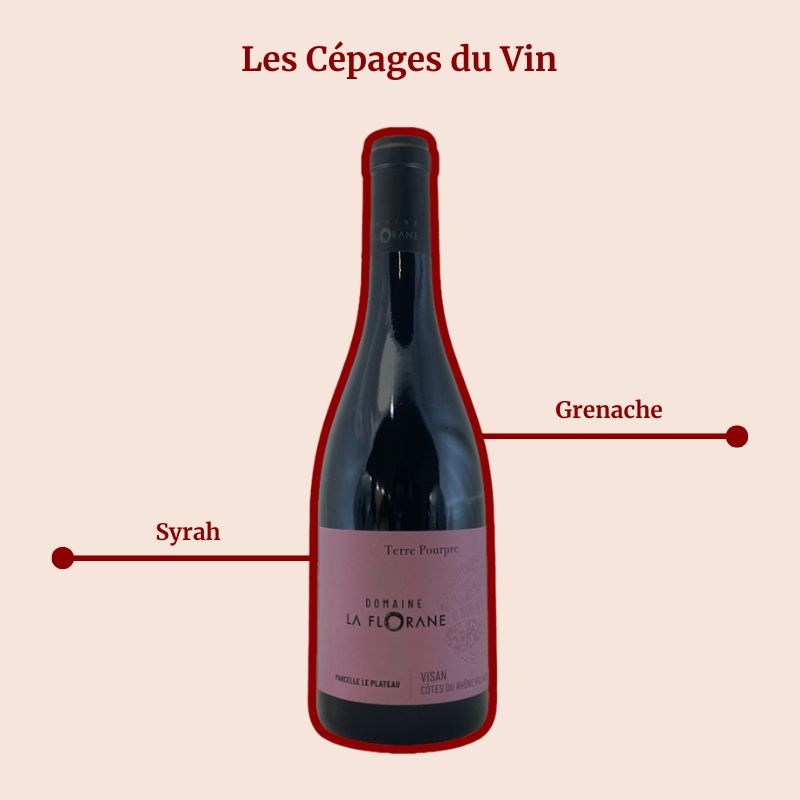 Domaine la florane terre pourpre Cépages