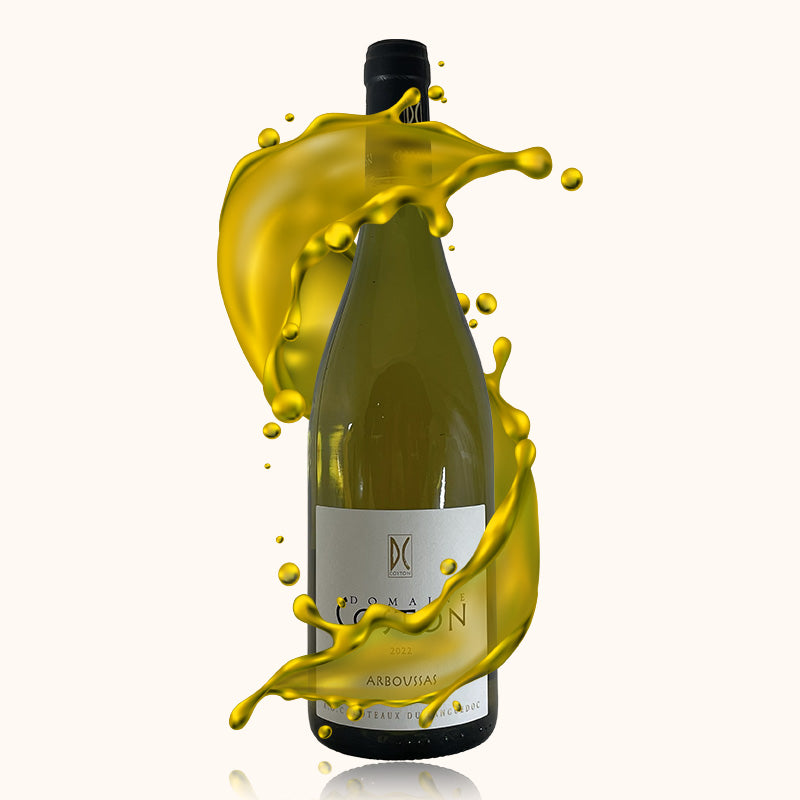Domaine Coston Arboussas Blanc bouteille