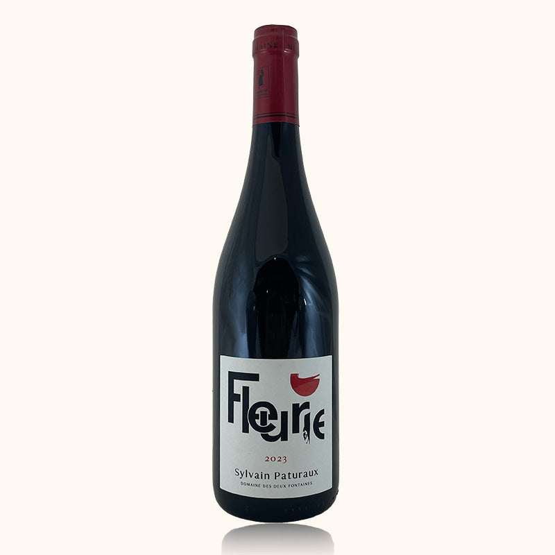Domaine des Deux Fontaines Sylvain Paturaux