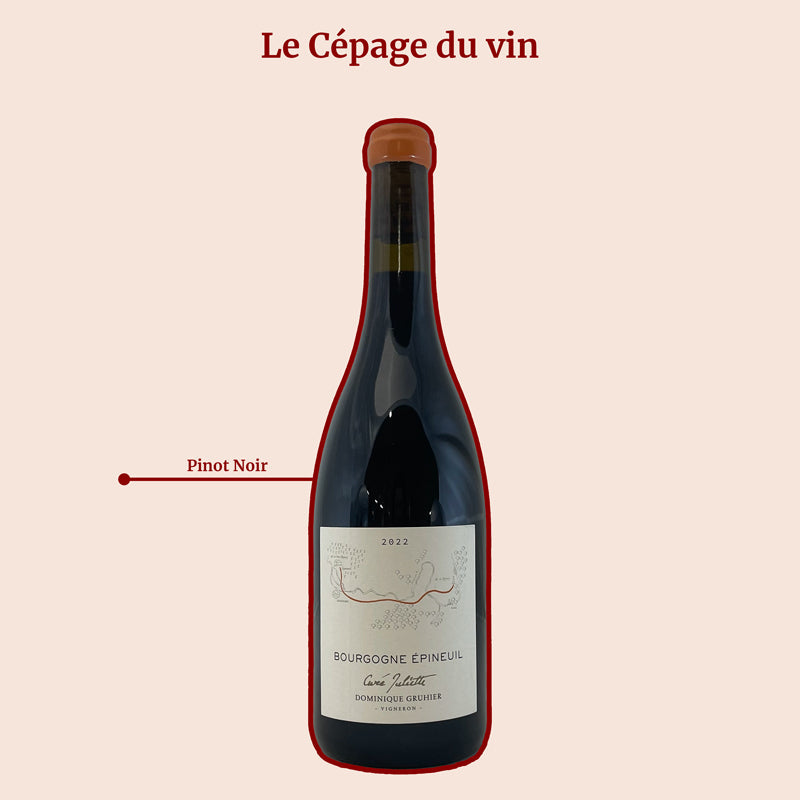 Dominique gruhier cuvée juliette cépage