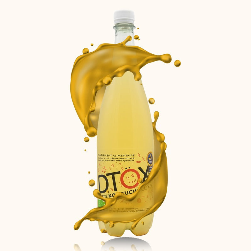 Dtox Kombucha bouteille