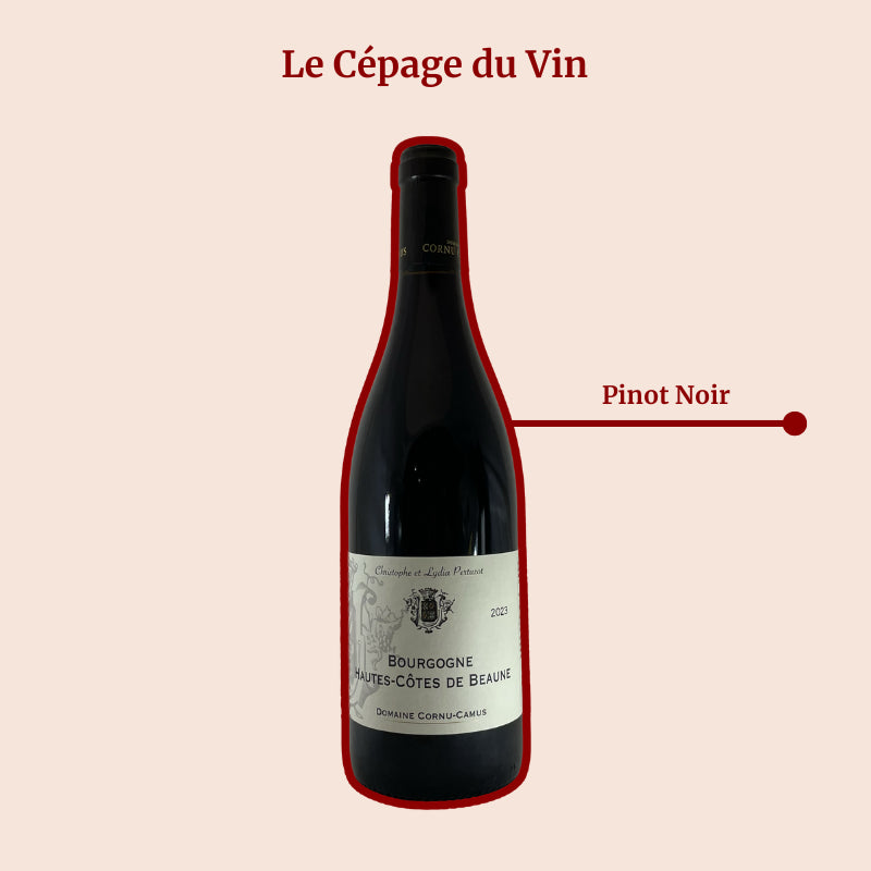 Hautes Côtes de Beaune Domaine Cornu Cépage