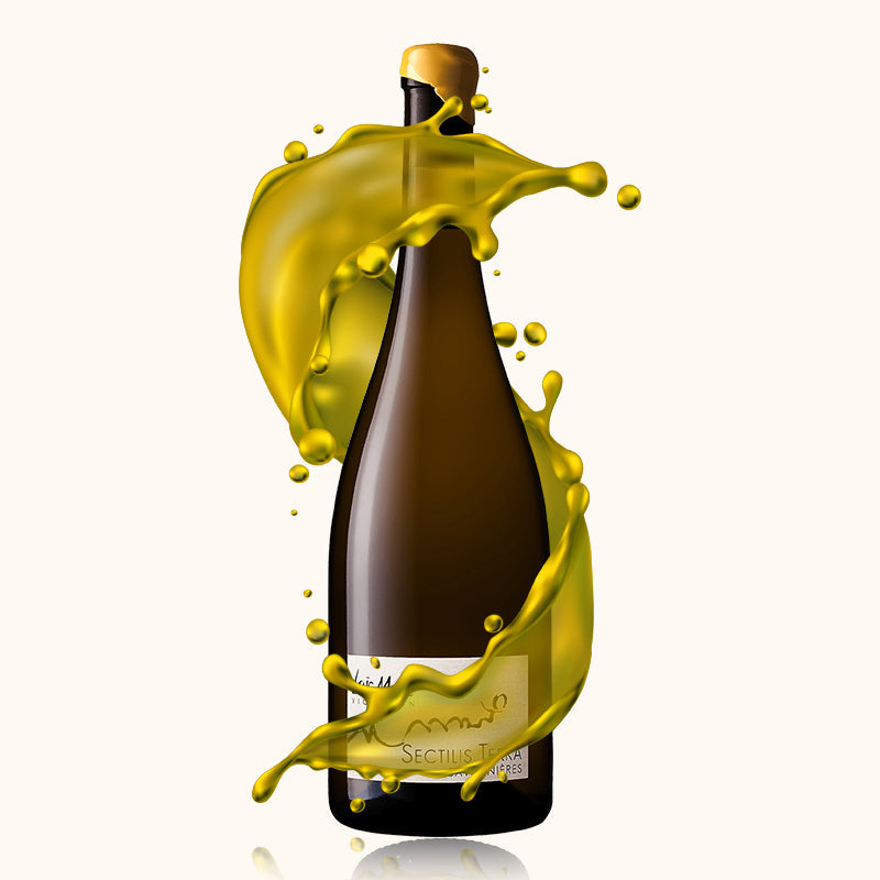 Loïc Mahé Sectilis Terra bouteille