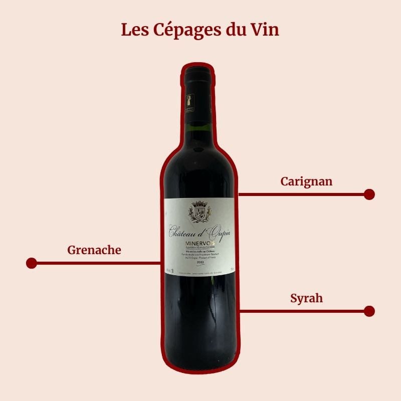 Minervois Château d'Oupia Cépages