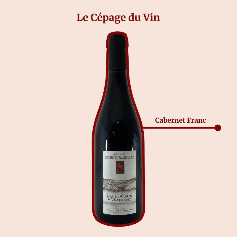 Patrick Baudouin Les Côteaux d'Ardenay Cepage