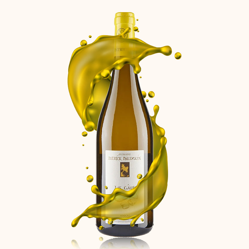 Patrick Baudouin Les Gats bouteille