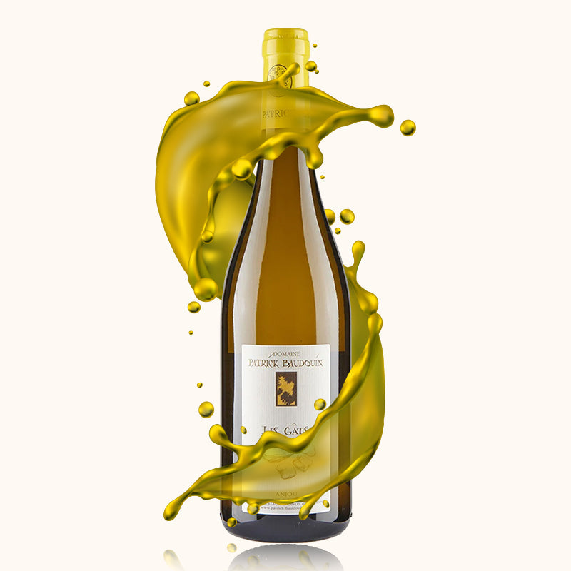 Patrick Baudouin Les Gats bouteille